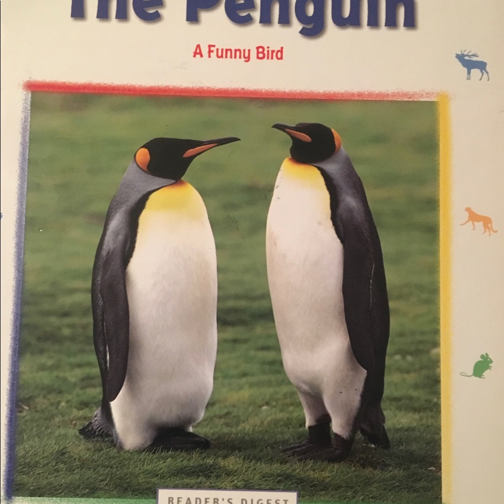 Set of 4 - Animal Close Up books